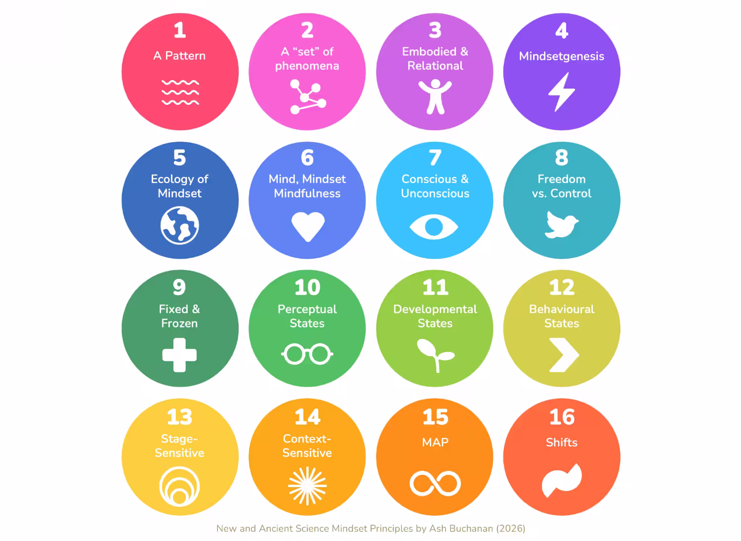 Grid of 16 circles outlining mindset science principles, including pattern, embodied and relational, conscious and unconscious, and shifts.