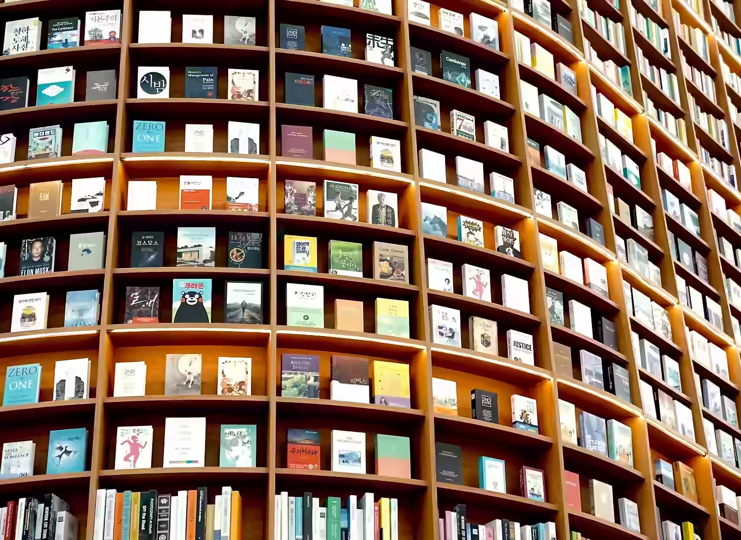 Curved library shelves filled with rows of colorful books.