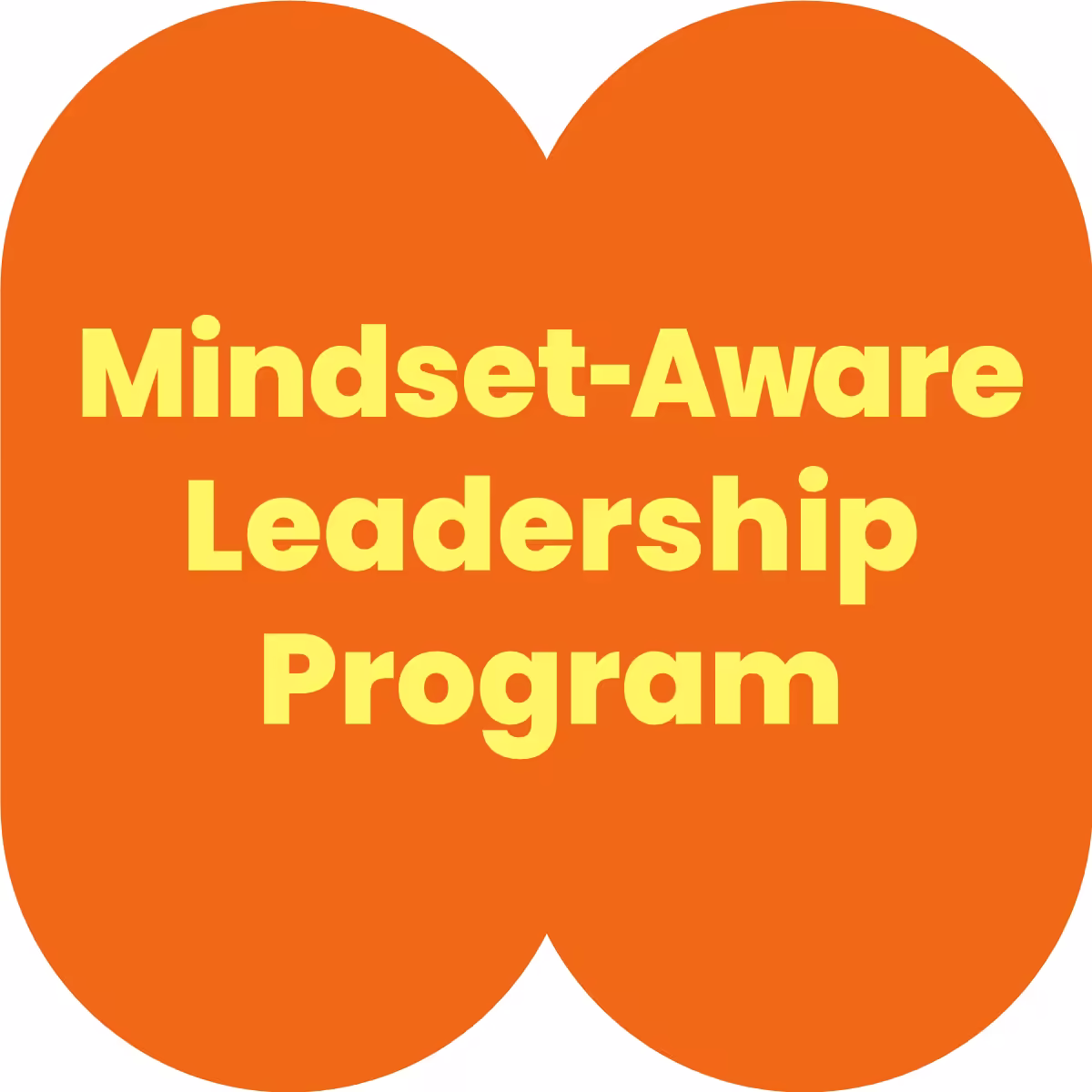 Orange mindset aware leadership program graphic.