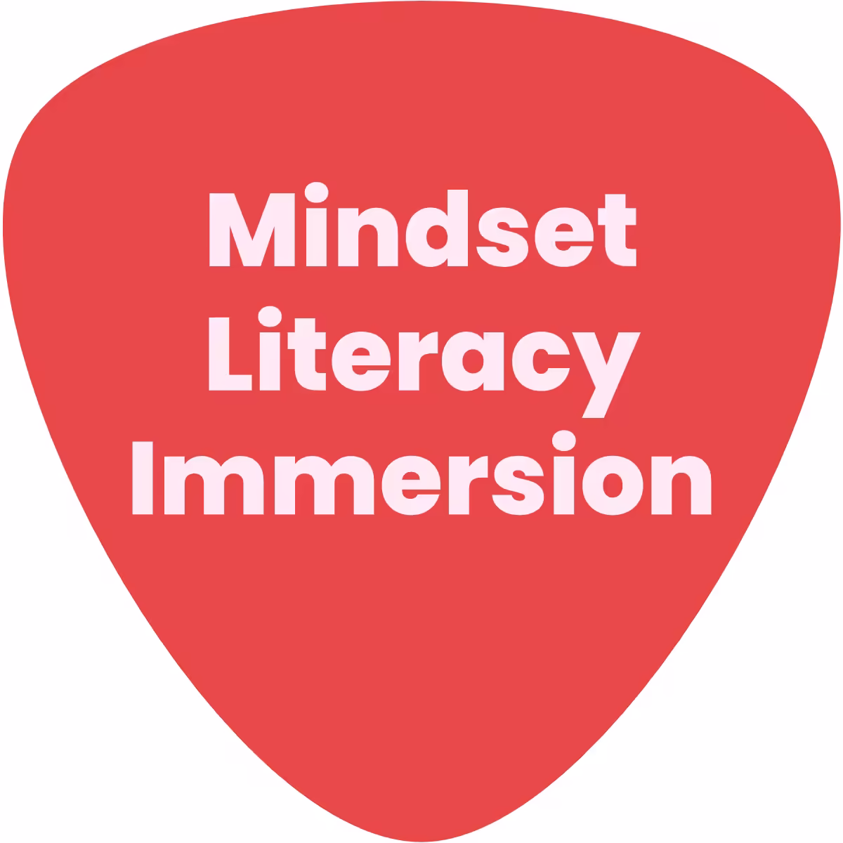 Red mindset literacy immersion graphic.